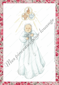bapteme cadre fleuri rose bebe trinite